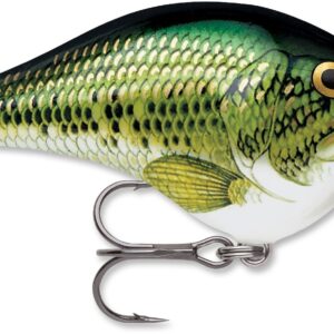 Rapala DT Series 6′ 3-8 2″ Baby Bass