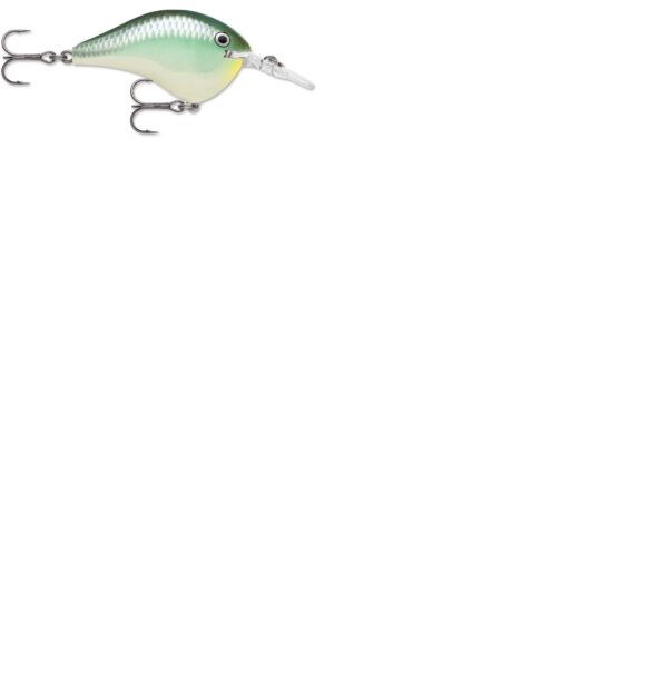 Rapala DT Series 6' 3-8 2" Blue Back Herring