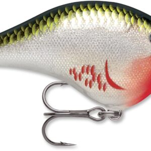 Rapala DT Series 6′ 3-8 2″ Bleeding Olive Shiner