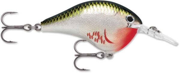 Rapala DT Series 6' 3-8 2" Bleeding Olive Shiner