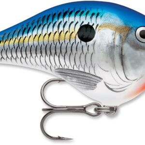 Rapala DT Series 6′ 3-8 2″ Blue Shad