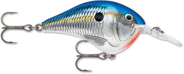 Rapala DT Series 6' 3-8 2" Blue Shad