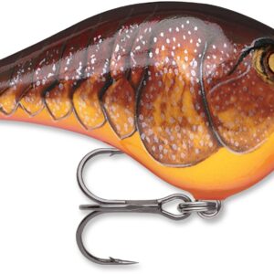 Rapala DT Series 6′ 3-8 2″ Dark Brown Crawdad