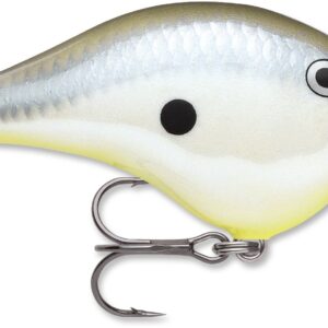 Rapala DT Series 6′ 3-8 2″ Disco Shad