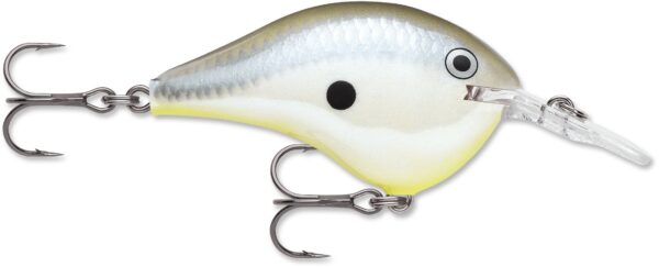 Rapala DT Series 6' 3-8 2" Disco Shad