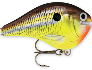 Rapala DT Series 6′ 3-8 2″ Hot Mustard