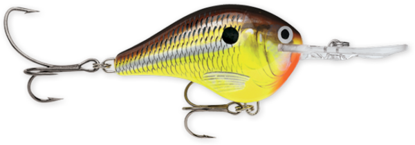 Rapala DT Series 6' 3-8 2" Hot Mustard