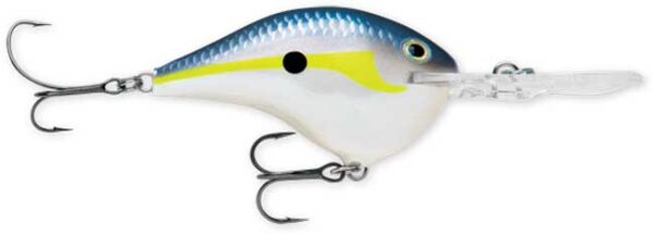 Rapala DT Series 6' 3-8 2" Helsinki Shad