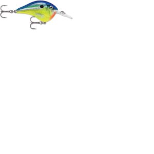 Rapala DT Series 6′ 3-8 2″ Parrot