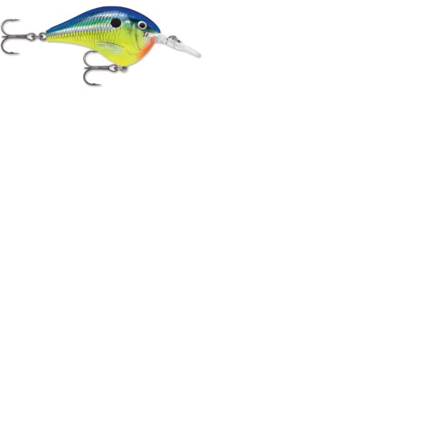 Rapala DT Series 6' 3-8 2" Parrot