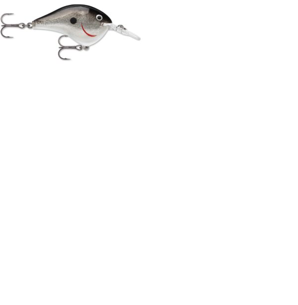 Rapala DT Series 6' 3-8 2" Silver