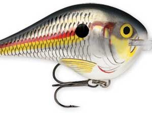 Rapala DT Series 6′ 3-8 2″ Shad