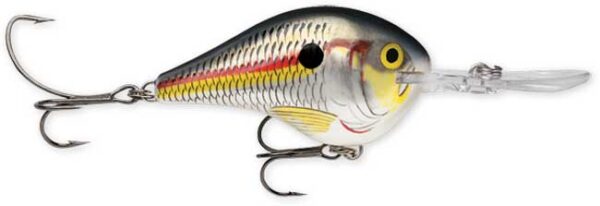 Rapala DT Series 6' 3-8 2" Shad