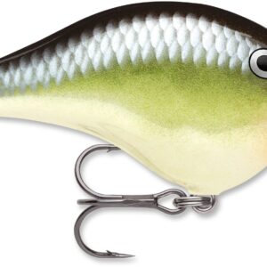 Rapala DT Series 6′ 3-8 2″ Smash