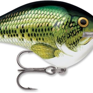 Rapala DT Series 3-8 2″ Baby Bass