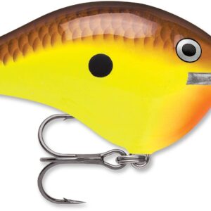 Rapala DT Series 3-8 2″ Chartreuse Rootbeer Craw