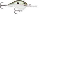 Rapala DT Series 3-8 2″ Green Gizzard Shad