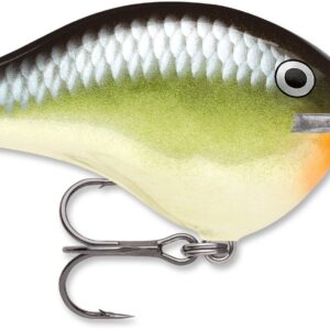 Rapala DT Series 3-8 2″ Smash