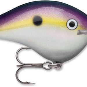 Rapala DT Series 10′ 3-5oz 2.25in Bluegill