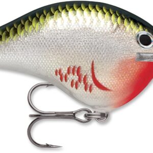 Rapala DT Series 10′ 3-5oz 2.25in Bleeding Olive Shiner