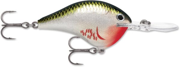 Rapala DT Series 10' 3-5oz 2.25in Bleeding Olive Shiner