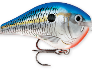 Rapala DT Series 10′ 3-5oz 2.25in Blue Shad