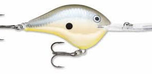 Rapala DT Series 10′ 3-5oz 2.25in Disco Shad