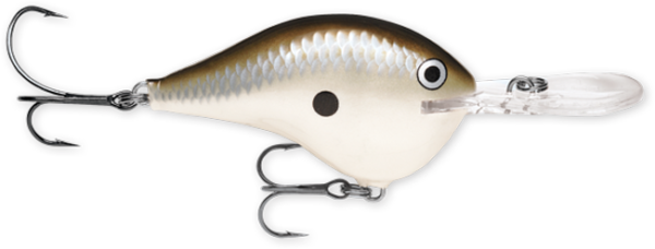 Rapala DT Series 10' 3-5oz 2.25in Pearl Grey Shiner