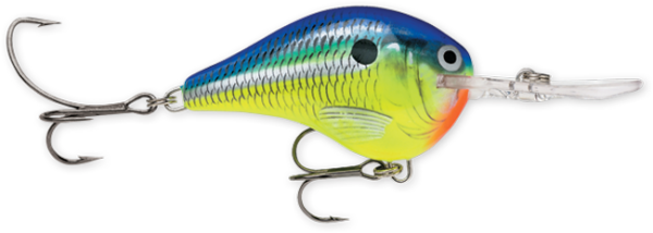 Rapala DT Series 10' 3-5oz 2.25in Parrot