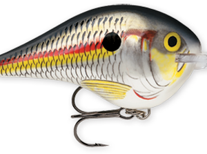 Rapala DT Series 10′ 3-5oz 2.25in Shad