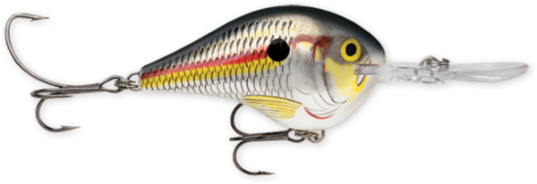 Rapala DT Series 10' 3-5oz 2.25in Shad