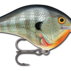 Rapala DT Series 3-4 Blue Gill