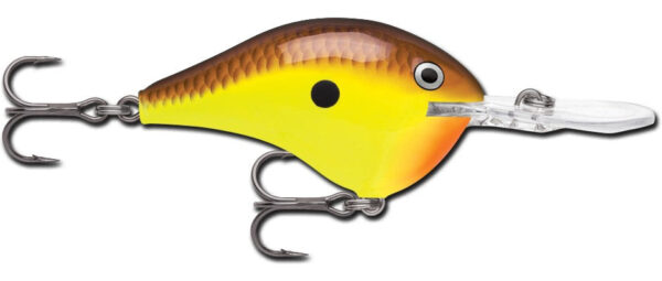 Rapala DT Series 3-4 Chartreuse Brown