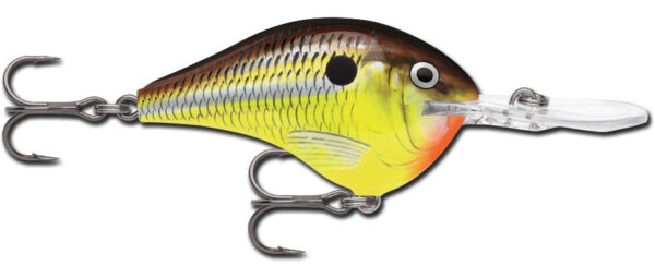 Rapala DT Series 3-4 Hot Mustard