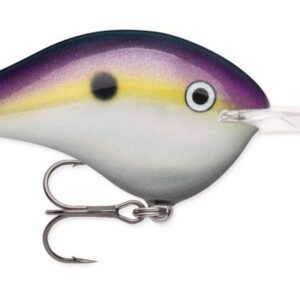 Rapala DT 20′ Series Big Shad