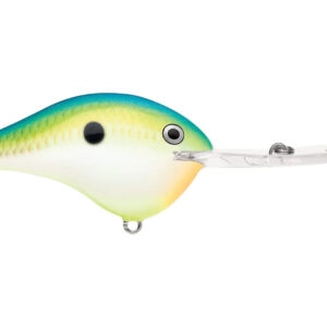 Rapala DT 20′ Series Citrus Shad 6