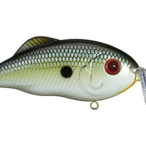 Strike King Hybrid Hunter Jr Shallow 7-16oz 3in Muh Knee Shad