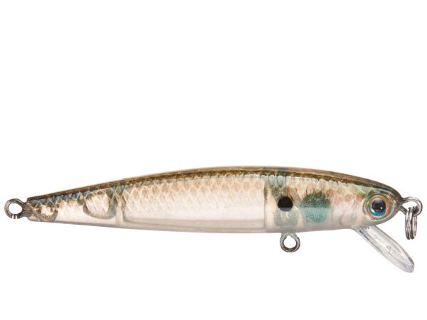 Strike King Bitsy Jerkbait 1-16oz Green Gizzard