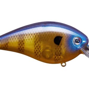 Strike King KVD Square Bill 5-8oz Blue Gill