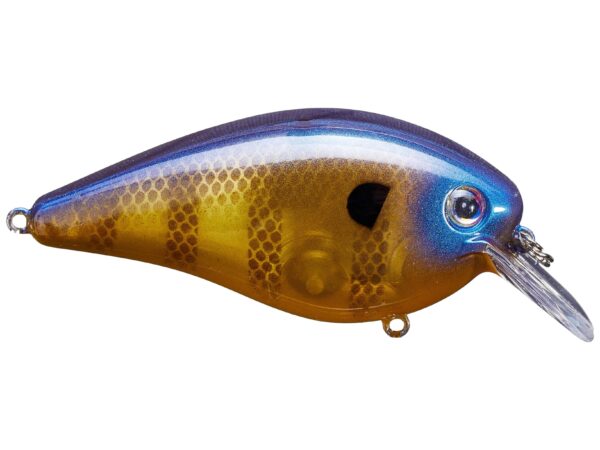 Strike King KVD Square Bill 5-8oz Blue Gill