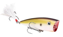 Strike King KVD Splash 2.75in 3-8oz TN Shad 2.0