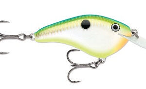 Rapala Ott Garage Slim 6′ 1-2 2.75″ Citrus Shad