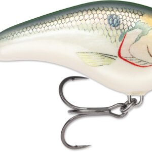 Rapala Ott Garage Slim 6′ 1-2 2.75″ Shad