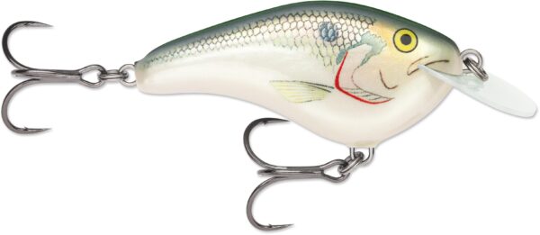 Rapala Ott Garage Slim 6' 1-2 2.75" Shad