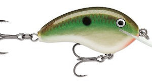 Rapala Ott Garage Tiny 4′ 5-16 2.25″ Copper Green Shad