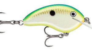 Rapala Ott Garage Tiny 4′ 5-16 2.25″ Citrus Shad