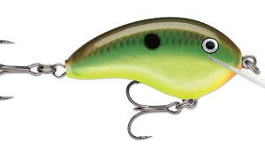 Rapala Ott Garage Tiny 4′ 5-16 2.25″ Hot Copper Green Shad