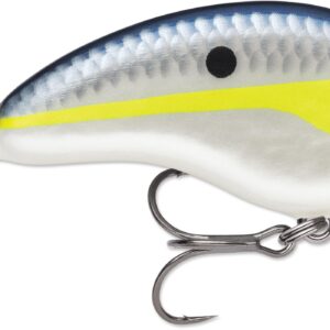 Rapala Ott Garage Tiny 4′ 5-16 2.25″ Heldinki Shad