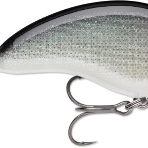 Rapala Ott Garage Tiny 4′ 5-16 2.25″ Silver