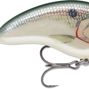 Rapala Ott Garage Tiny 4′ 5-16 2.25″ Shad